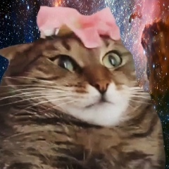 Екатерина Гречаниченко, 18.08.1988