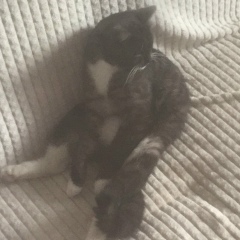 Игорь Калашников, 21.04, Екатеринбург