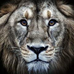 Иван Марчишин, 12.08, Курган