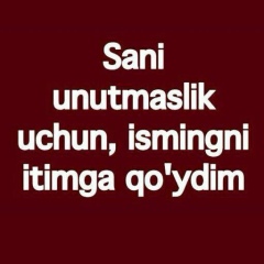 Одил Байханов, 25.02.1990, Шымкент