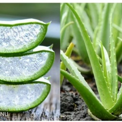 Гульшат Гизитдинова, 17.07, Уфа