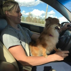 Елизавета Кострова, 26.11.1986, Тверь