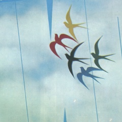 Ольга Левичева, 02.12, Санкт-Петербург