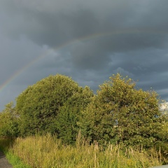 Оксана Горних, 09.05.1979, Москва