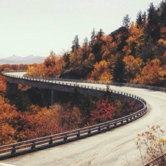 Заира Болотханова