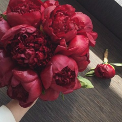 Marina Dzhereshtieva, 16.03