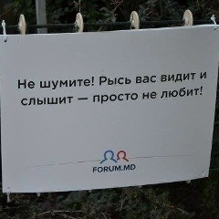 Stah Lynx, 16.03.1972, Санкт-Петербург