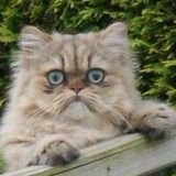 Павел Сизов, 01.12.1953, Санкт-Петербург