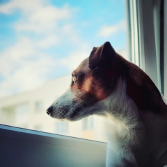 Александр Маханько, 26.04.1987, Санкт-Петербург