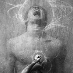 Hardy Alllive, 05.04