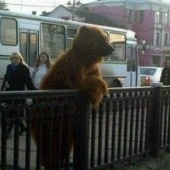 Владимир Рыбкин, 25.02.1985