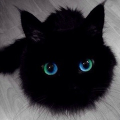 Антон , 09.04, Москва