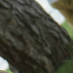 Аня Салфетова, 11.04.1997