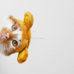 Макс Арт, 09.10.1987