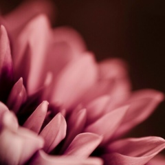 Валерия Юхимова, 23.10, Самара