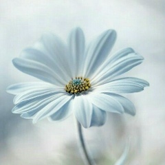 Акгуль Сабиева, 15.10.1989, Алматы