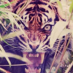 Айшат Садулаева, 27.06