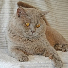 Людмила Горкушина, Санкт-Петербург