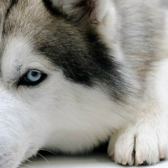 Саша Микрюков, 09.11.2001, Талица