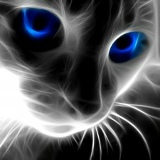 Almas Ala, 23.10, Павлодар