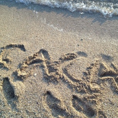 Александр Краснов, 24.12.1986, Москва