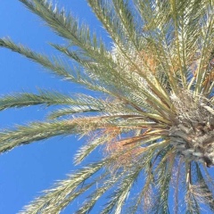 Светлана Зорина, 20.03, Санкт-Петербург