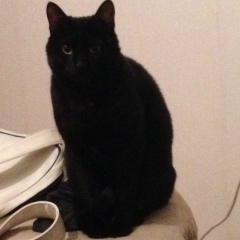 Александр Миклашевич, Москва