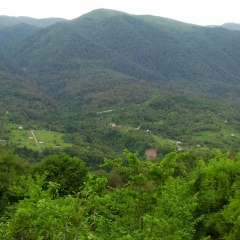 Ибрагим Арсангириев