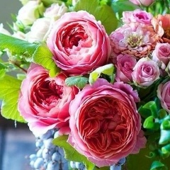 Алина Сочнева, 27.10.1985, Санкт-Петербург