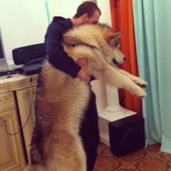 Илья Гальченко, 21.12, Днепр (Днепропетровск)