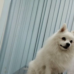 Вера Александровна, Москва