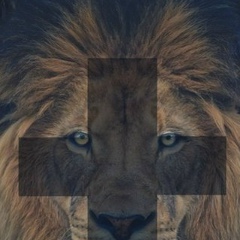 Эдмон Егиазарян, 22.11.1994, Нижний Новгород