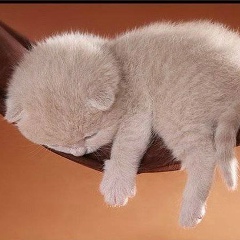 Гульдана Ахметова, 25.06, Костанай