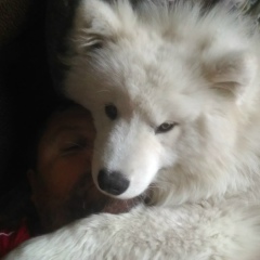 Сергей Ежиков, 15.10, Калининград