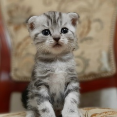 Айнура Курманова, 01.03.1993, Атырау