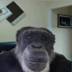 Александр Лейн, Compton