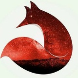 Максим Чудаев, 14.11, Нижний Новгород