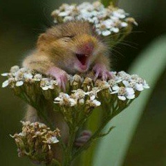 Мария Тиунова, 28.08.1987, Санкт-Петербург