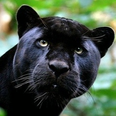 Инна Вьюгова, 04.04, Санкт-Петербург