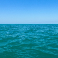 Елена П, 10.06