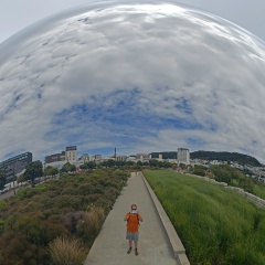 Максим Жучков, Auckland