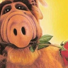 Павел Николаевич, 26.05.1985, Днепр (Днепропетровск)