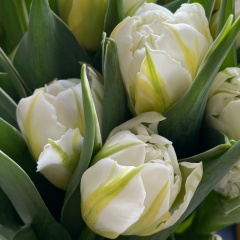 Ольга Курносова, 17.08, Москва