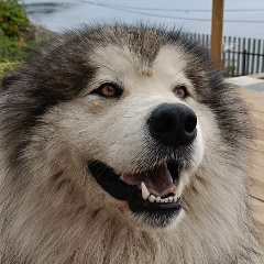 Сергей Лисюткин, 02.04.1989, Холмск