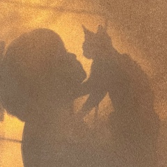 Такая Черепашка, 22.08.1984, Островец