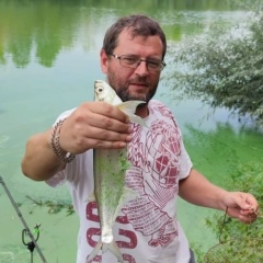 Дмитрий Толоконников, 05.11.1987, Воронеж