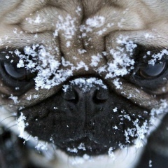 Баур Рахманов, 22.10.1987, Алматы