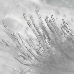 Аннет Авонримс, 23.10, Санкт-Петербург