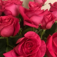 Наталья Морозова, 29.12, Москва