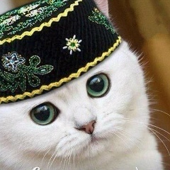 Хуснуддин Арипов, 04.04, Санкт-Петербург